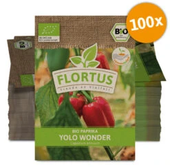 Paprika Yolo Wonder (100 Stück) | BIO Paprikasamen Von FLORTUS 7 Paprika Yolo Wonder (100 Stück) | BIO Paprikasamen Von FLORTUS -Samenhaus Geschäft 549896 BIO Paprika Yolo Wonder 100 Stueck 2000 0513 100x 0
