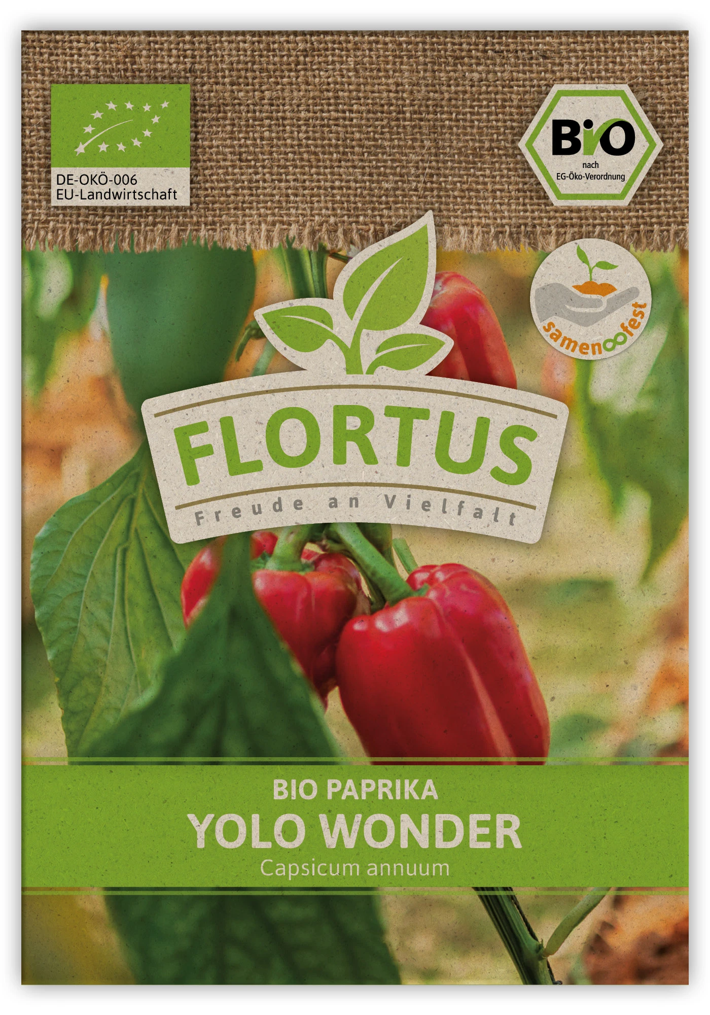Paprika Yolo Wonder (100 Stück) | BIO Paprikasamen Von FLORTUS 4 Paprika Yolo Wonder (100 Stück) | BIO Paprikasamen Von FLORTUS – Bild 2