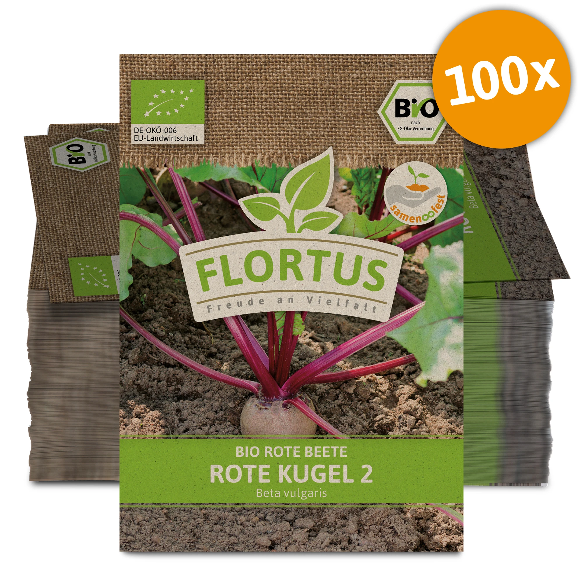 Rote Beete Rote Kugel 2 (100 Stück) | BIO Rote Beetesamen Von FLORTUS 5 Rote Beete Rote Kugel 2 (100 Stück) | BIO Rote Beetesamen Von FLORTUS – Bild 3