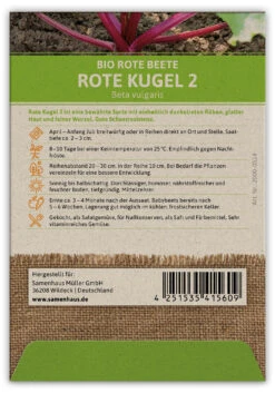 Rote Beete Rote Kugel 2 (100 Stück) | BIO Rote Beetesamen Von FLORTUS