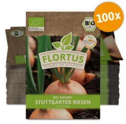 Zwiebel Stuttgarter Riesen (100 Stück) | BIO Zwiebelsamen Von FLORTUS -Samenhaus Geschäft 549900 BIO Zwiebel Stuttgarter Riesen 100 Stueck 2000 0517 100x 0