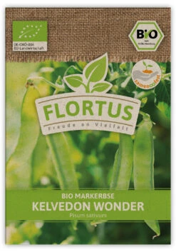 Markerbse Kelvedon Wonder (100 Stück) | BIO Erbsensamen Von FLORTUS