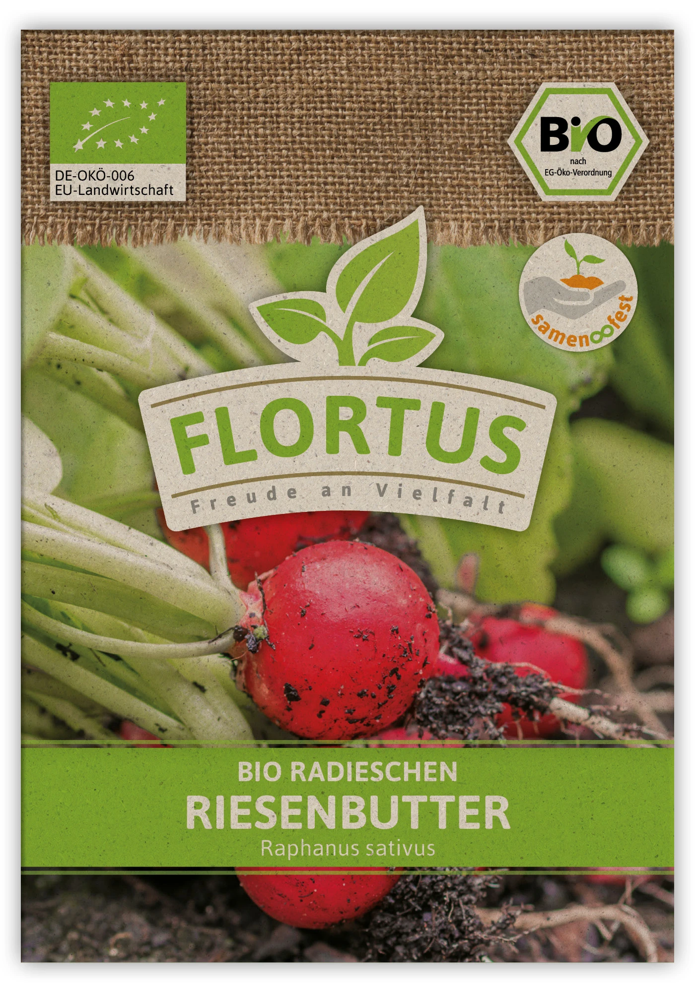 Radieschen Riesenbutter (100 Stück) | BIO Radieschensamen Von FLORTUS 4 Radieschen Riesenbutter (100 Stück) | BIO Radieschensamen Von FLORTUS – Bild 2