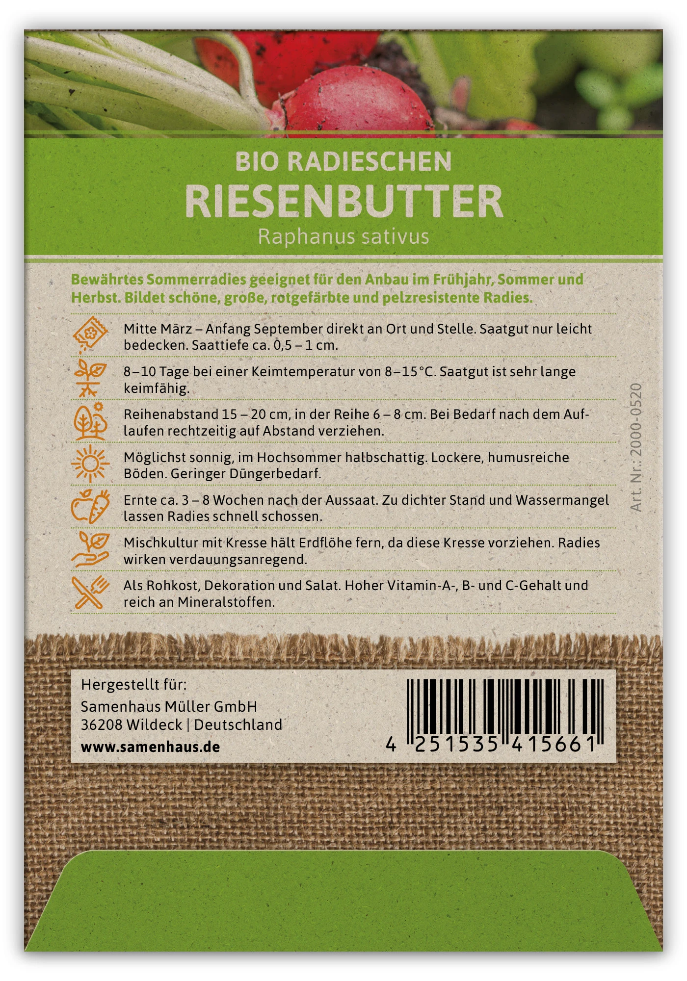 Radieschen Riesenbutter (100 Stück) | BIO Radieschensamen Von FLORTUS 5 Radieschen Riesenbutter (100 Stück) | BIO Radieschensamen Von FLORTUS – Bild 3