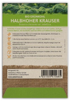Grünkohl Halbhoher Krauser (100 Stück) | BIO Kohlsamen Von FLORTUS