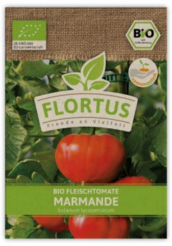 Fleischtomate Marmande (100 Stück) | BIO Tomatensamen Von FLORTUS -Samenhaus Geschäft 549906 BIO Fleischtomate Marmande 100 Stueck 2000 0523 100x 1