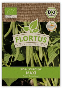 Buschbohne Maxi (100 Stück) | BIO Bohnensamen Von FLORTUS