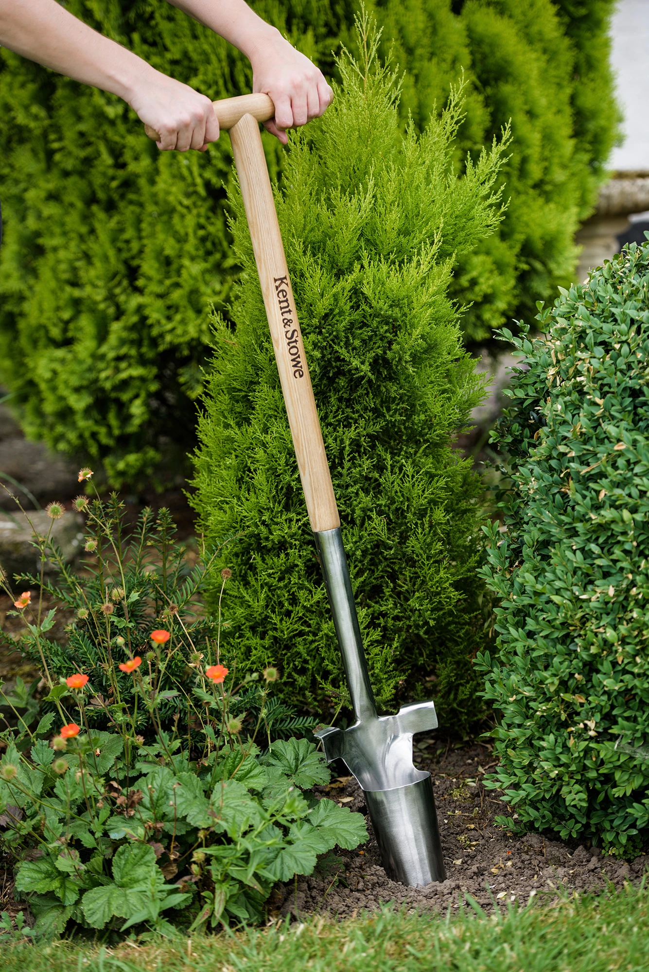 Langstiel Zwiebelpflanzer | Gartengeräte Von Kent & Stowe 4 Langstiel Zwiebelpflanzer | Gartengeräte Von Kent & Stowe – Bild 2