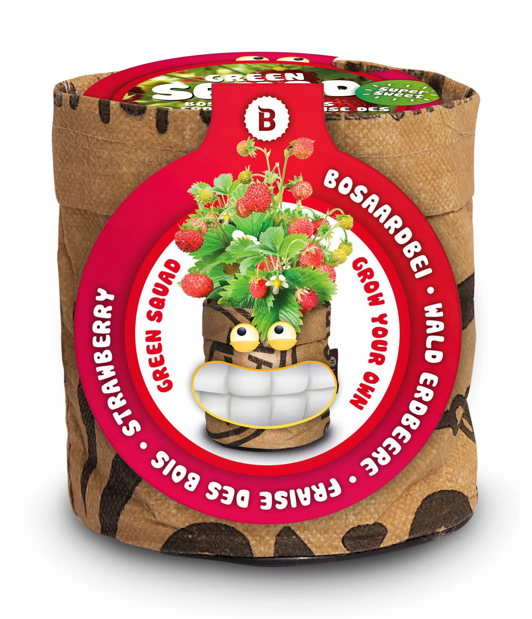 Greensquad Süße Erdbeere | Anzuchtsets Von Baza 4 Greensquad Süße Erdbeere | Anzuchtsets Von Baza – Bild 2