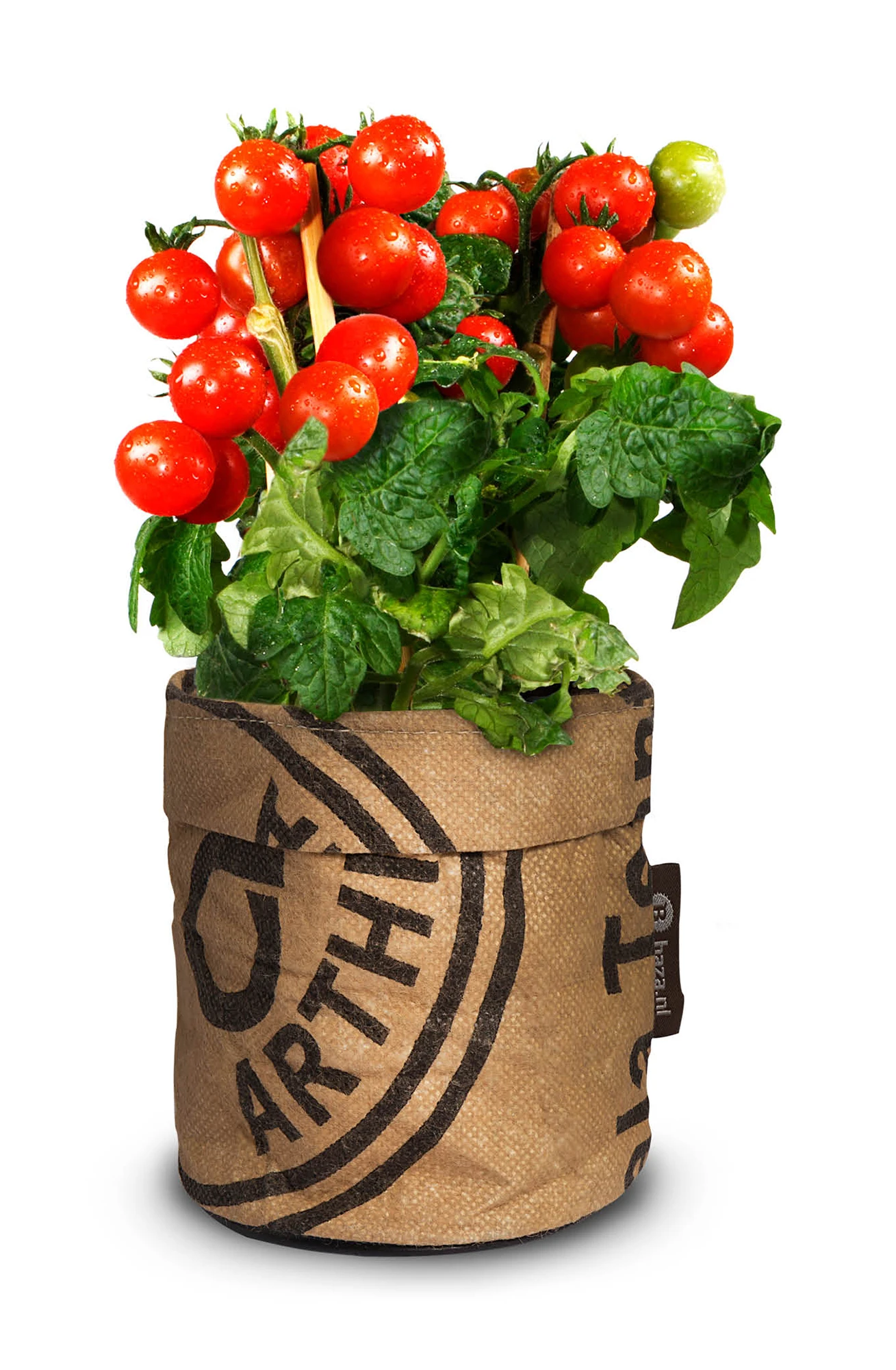 Greensquad Snack-Tomaten | Anzuchtsets Von Baza 3 Greensquad Snack-Tomaten | Anzuchtsets Von Baza