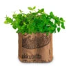 Duo-Garten Mojito | Anzuchtsets Von Baza -Samenhaus Geschäft 550262 Duo Garten Mojito 18037310 bz 1