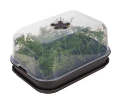 Green Basic Anzucht Set All-In-One (living Schwarz) | Zimmergewächshaus Von Elho