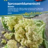 Sprossenblumenkohl Blumini F1 | Blumenkohlsamen Von Kiepenkerl -Samenhaus Geschäft 551524 Sprossenblumenkohl Blumini F1 2910 0