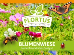 Blumenwiese (1/2 L Doypack) | Blumenwiese Von FLORTUS 11 Blumenwiese (1/2 L Doypack) | Blumenwiese Von FLORTUS -Samenhaus Geschäft 551641 Blumenwiese 1 2 Liter Doypack 2000 0186 1