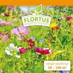 Blumenwiese (1/2 L Doypack) | Blumenwiese Von FLORTUS 13 Blumenwiese (1/2 L Doypack) | Blumenwiese Von FLORTUS -Samenhaus Geschäft 551641 Blumenwiese 1 2 Liter Doypack 2000 0186 3