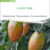 Datteltomate Lucky Tiger | BIO Stabtomatensamen Von Sativa Rheinau 2 Datteltomate Lucky Tiger | BIO Stabtomatensamen Von Sativa Rheinau -Samenhaus Geschäft 551676 BIO Datteltomate Lucky Tiger to97 sr 0