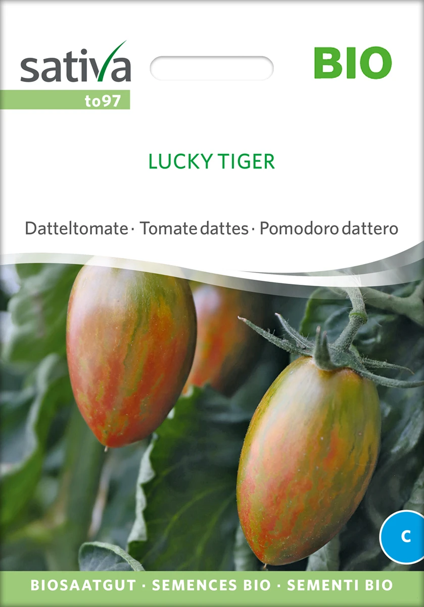 Datteltomate Lucky Tiger | BIO Stabtomatensamen Von Sativa Rheinau 3 Datteltomate Lucky Tiger | BIO Stabtomatensamen Von Sativa Rheinau
