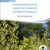 Einjähriger Beifuss | BIO Heilpflanzensamen Von Sativa Rheinau -Samenhaus Geschäft 551680 BIO Einjaehriger Beifuss hp20 sr 0