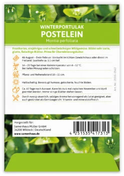 Winterportulak Postelein (100 Tütchen) | Portulaksamen Von FLORTUS -Samenhaus Geschäft 551880 Winterportulak Postelein 100 Tuetchen 2000 0562 1 1