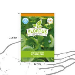 Winterportulak Postelein (100 Tütchen) | Portulaksamen Von FLORTUS -Samenhaus Geschäft 551880 Winterportulak Postelein 100 Tuetchen 2000 0562 3