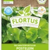 Winterportulak Postelein (100 Tütchen) | BIO Portulaksamen Von FLORTUS -Samenhaus Geschäft 551882 BIO Winterportulak Postelein 100 Tuetchen 2000 0563 0