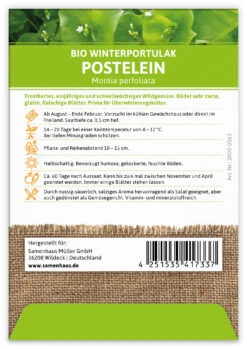 Winterportulak Postelein (100 Tütchen) | BIO Portulaksamen Von FLORTUS -Samenhaus Geschäft 551882 BIO Winterportulak Postelein 100 Tuetchen 2000 0563 1