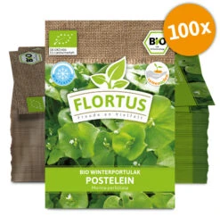 Winterportulak Postelein (100 Tütchen) | BIO Portulaksamen Von FLORTUS -Samenhaus Geschäft 551882 BIO Winterportulak Postelein 100 Tuetchen 2000 0563 100x 0 1