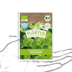 Winterportulak Postelein (100 Tütchen) | BIO Portulaksamen Von FLORTUS -Samenhaus Geschäft 551882 BIO Winterportulak Postelein 100 Tuetchen 2000 0563 3