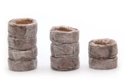 Kokos Quelltöpfe (1155 Stück) | BIO Kokos Quelltöpfe Von Jiffy -Samenhaus Geschäft 551968 BIO Kokos Quelltoepfe 1155 Stueck 63170030 jf 2