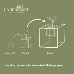 Erdballenpresse Mini 4 Soil Blocker Mit Kleinen Dübeleinsätzen | Erdtopfpressen Von Ladbrooke Soil Blockers -Samenhaus Geschäft 551991 Erdballenpresse Mini 4 Soil Blocker mit kleinen Duebeleinsaetzen LADMIN4 lsb 5
