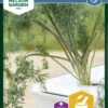 Dill Thalia | Dillsamen Von Nelson Garden -Samenhaus Geschäft 552129 Dill Thalia 90272 ng 0