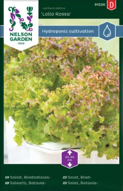 Salat Blattsalat Lollo Rossa | Eichblattsalatsamen Von Nelson Garden