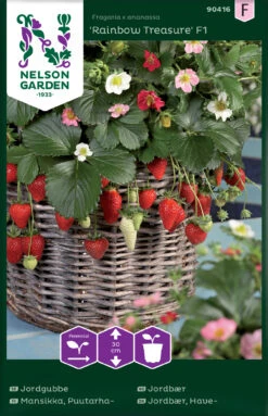 Erdbeere Rainbow Treasure F1 | Erdbeerpflanzen Von Nelson Garden