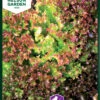 Bataviasalat Lollo Rossa | Salatsamen Von Nelson Garden -Samenhaus Geschäft 552212 Bataviasalat Lollo Rossa 91225 ng 0