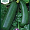 Zucchini Diamant F1 | Zucchinisamen Von Nelson Garden -Samenhaus Geschäft 552217 Zucchini Diamant F1 91445 ng 0