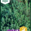 Thymian | Thymiansamen Von Nelson Garden -Samenhaus Geschäft 552220 Thymian 91521 ng 0