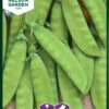 Zuckererbsen Oregon Sugar Pod | Zuckererbsensamen Von Nelson Garden -Samenhaus Geschäft 552230 Zuckererbsen Oregon Sugar Pod 91844 ng 0