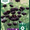 Kornblume Black Boy | Kornblumensamen Von Nelson Garden -Samenhaus Geschäft 552238 Kornblume Black Boy 93362A ng 0