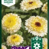 Ringelblumen Ivory Princess | Ringelblumensamen Von Nelson Garden -Samenhaus Geschäft 552243 Ringelblumen Ivory Princess 94933A ng 0