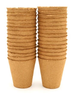 8 Cm Anzuchttopf Rund Auf Holzfaser Basis | Anzuchttöpfe Von FLORTUS -Samenhaus Geschäft 552303 8 cm Anzuchttopf rund auf Holzfaser Basis 30 Stueck 2000 0595 2