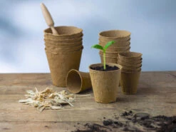 8 Cm Anzuchttopf Rund Auf Holzfaser Basis | Anzuchttöpfe Von FLORTUS -Samenhaus Geschäft 552303 8 cm Anzuchttopf rund auf Holzfaser Basis 30 Stueck 2000 0595 5