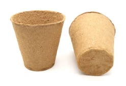 10 Cm Anzuchttopf Rund Auf Holzfaser Basis | Anzuchttöpfe Von FLORTUS -Samenhaus Geschäft 552305 10 cm Anzuchttopf rund auf Holzfaser Basis 15 Stueck 2000 0597 4