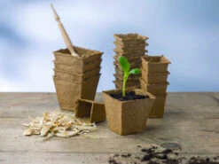 6 X 6 Cm Anzuchttopf Quadratisch Auf Holzfaser Basis | Anzuchttöpfe Von FLORTUS -Samenhaus Geschäft 552316 6 x 6 cm Anzuchttopf quadratisch auf Holzfaser Basis 42 Stueck 2000 0608 5