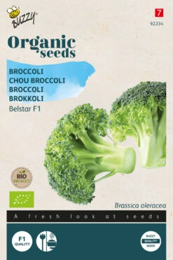 Broccoli Belstar F1 | BIO Brokkolisamen Von Buzzy Seeds