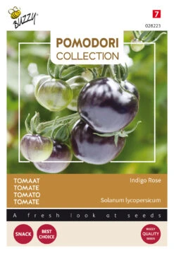Tomate Indigo Rose | Tomatensamen Von Buzzy Seeds