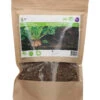Futter Rüben Brigadier (250 G) | Runkelrüben- &amp; Futterrübensamen Von Buzzy Seeds -Samenhaus Geschäft 552560 Futter Rueben Brigadier 250 g 881503 by 0