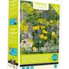 Friendly Flowers XL Tübinger Bienen Mischung (50 M²) | Bienenwiese Von Buzzy Seeds 1 Friendly Flowers XL Tübinger Bienen Mischung (50 M²) | Bienenwiese Von Buzzy Seeds -Samenhaus Geschäft 552596 Friendly Flowers XL Tuebinger Bienen Mischung 50 m 85097 by 0