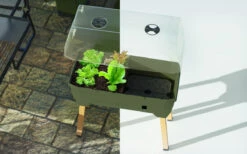 Sammy Salad Hochbeet Dunkelgrün | Balkonhochbeete Von Gusta Garden -Samenhaus Geschäft 553103 Sammy Salad Hochbeet Dunkelgruen 103A10 gg 2