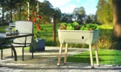 Sammy Salad Hochbeet Dunkelgrün | Balkonhochbeete Von Gusta Garden -Samenhaus Geschäft 553103 Sammy Salad Hochbeet Dunkelgruen 103A10 gg 9