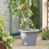 Tomatentopf Anthrazit | Tomatentöpfe Von Clever Pots -Samenhaus Geschäft 553525 Tomatentopf Anthrazit 1 Stueck 461500 kp 4